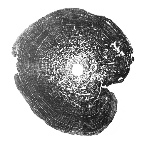 "Box Elder" Tree Print - White Paper